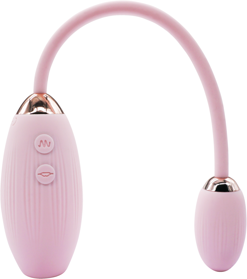 Lola - Image 4